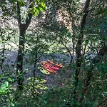 Camping Esponella Camping