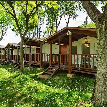 キャンプ場 Camping Esponella